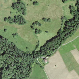 Satellite imagery of Hirzenegg, CH