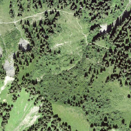 Satellite imagery of Guggihürli, CH