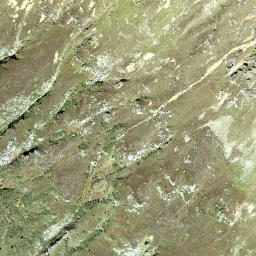 Satellite imagery of Lückli, CH