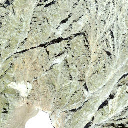 Satellite imagery of Bristenstock, CH