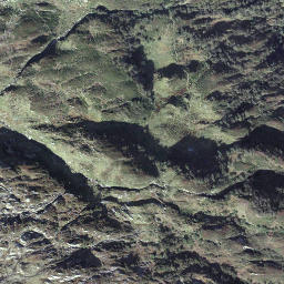 Satellite imagery of Schafstock, CH