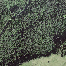 Satellite imagery of Brönnti Egg, CH