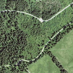 Satellite imagery of Schüpfeflue, CH