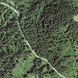 Satellite imagery of Selibüel, CH