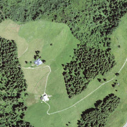 Satellite imagery of Selibüel, CH