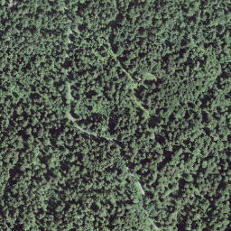 Satellite imagery of Hirzenegg, CH