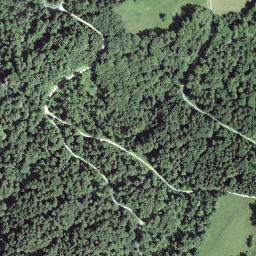 Satellite imagery of Hirzenegg, CH