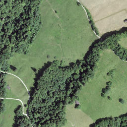 Satellite imagery of Hirzenegg, CH