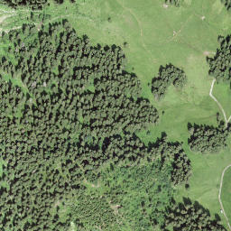 Satellite imagery of Guggihürli, CH
