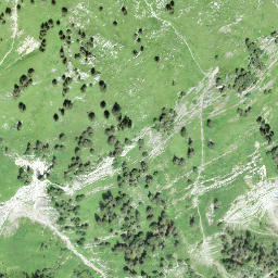 Satellite imagery of Suggiture, CH