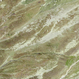 Satellite imagery of Leutsi, CH