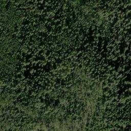 Satellite imagery of Wild Cat Mine, US