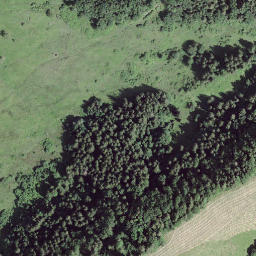 Satellite imagery of Eggli, CH