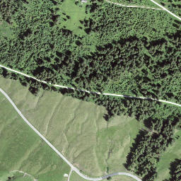 Satellite imagery of Selibüel, CH