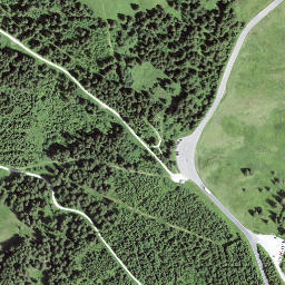 Satellite imagery of Selibüel, CH