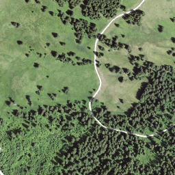 Satellite imagery of Selibüel, CH