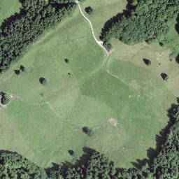 Satellite imagery of Hirzenegg, CH