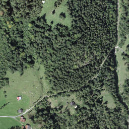 Satellite imagery of Rossweidlihubel, CH