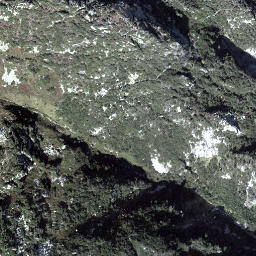 Satellite imagery of Husenstock, CH