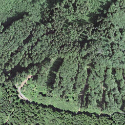 Satellite imagery of La Feyla, CH
