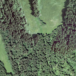 Satellite imagery of Chrüzflue, CH