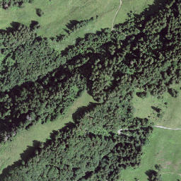 Satellite imagery of Eggli, CH