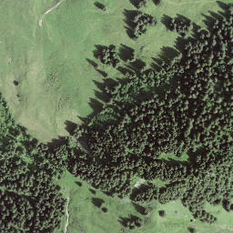 Satellite imagery of Wirtnerechilche, CH