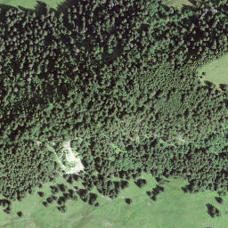 Satellite imagery of Wirtnerechilche, CH