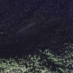 Satellite imagery of Litzigegg, CH