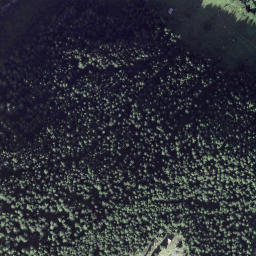 Satellite imagery of Litzigegg, CH