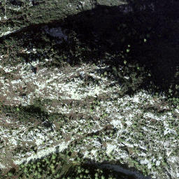 Satellite imagery of Mutschen, CH