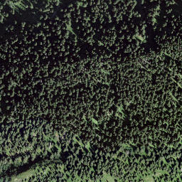 Satellite imagery of Tgiern Pign, CH