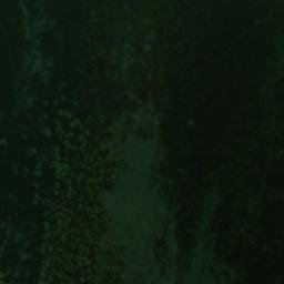 Satellite imagery of Botta Burschina, CH