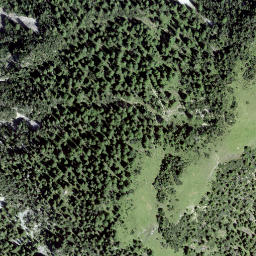 Satellite imagery of Trienta, CH