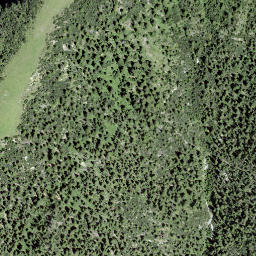 Satellite imagery of Trienta, CH
