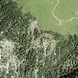 Satellite imagery of Alteiner Egg, CH