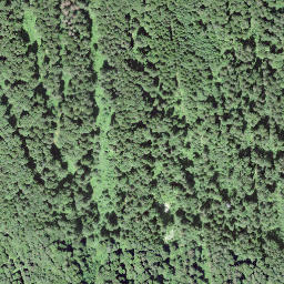 Satellite imagery of La Feyla, CH