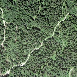 Satellite imagery of Gurtseggli, CH
