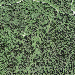 Satellite imagery of Gurligrind, CH