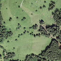 Satellite imagery of Spitzi Flue, CH