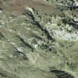 Satellite imagery of Litzigegg, CH
