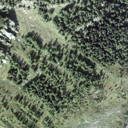 Satellite imagery of Litzigegg, CH