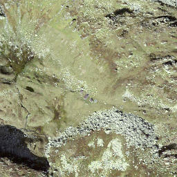 Satellite imagery of Steingrätli, CH