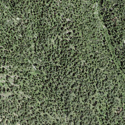 Satellite imagery of Trienta, CH