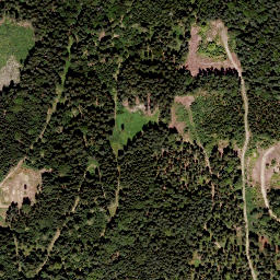 Satellite imagery of Zechnerkogel, AT
