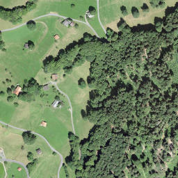 Satellite imagery of Ralligstöck, CH