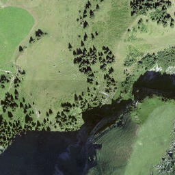 Satellite imagery of Axalphoren, CH