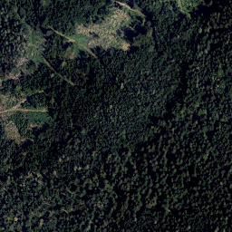 Satellite imagery of Buchenberg Kogel, AT
