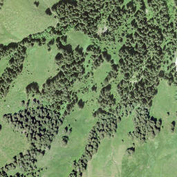 Satellite imagery of Gurligrind, CH