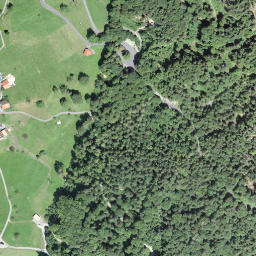 Satellite imagery of Ralligstöck, CH